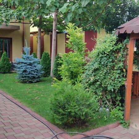 Cazare Buzau Apartment Luaran gambar