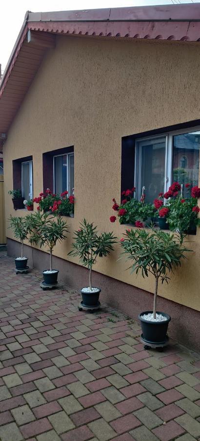 Cazare Buzau Apartment Luaran gambar